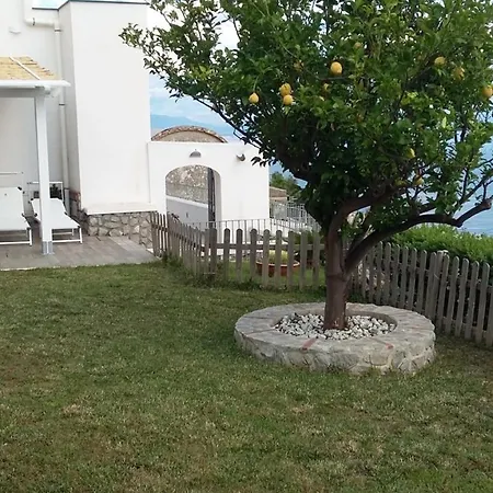 Marilisa