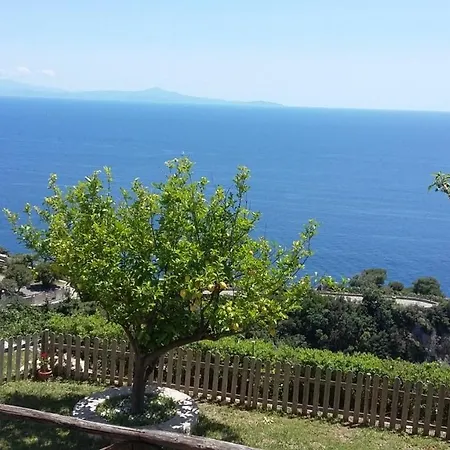 Marilisa Conca dei Marini